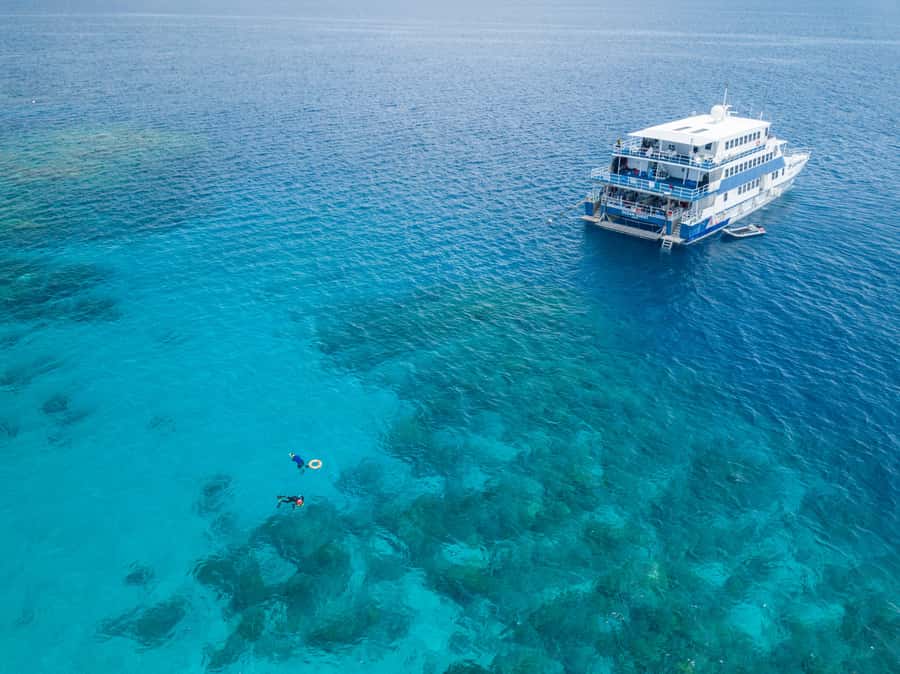 Cairns: Great Barrier Reef Overnight Snorkelling Boat Trip - Saxon, Norman, and Hastings reefs