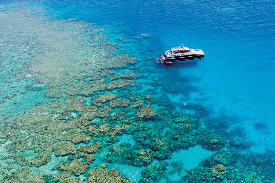Cairns: Great Barrier Reef Premium Diving Full Day Tour - Indigenous stories add meaning to the reef