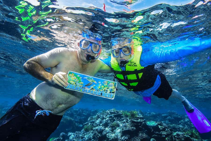 Cairns: Great Barrier Reef Premium Diving Full Day Tour - Who will get the most from this reef trip