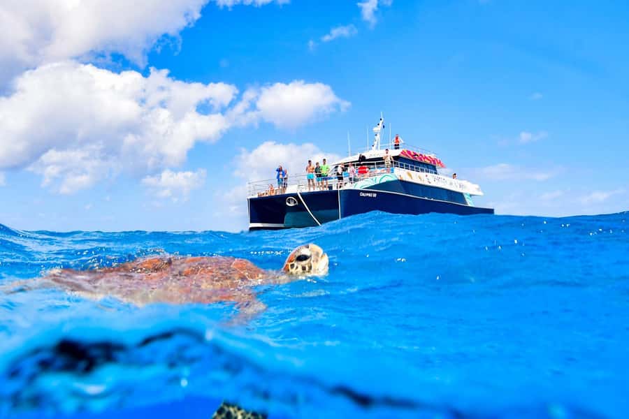 Cairns: Great Barrier Reef Premium Diving Full Day Tour - Is the $127 price a good deal?