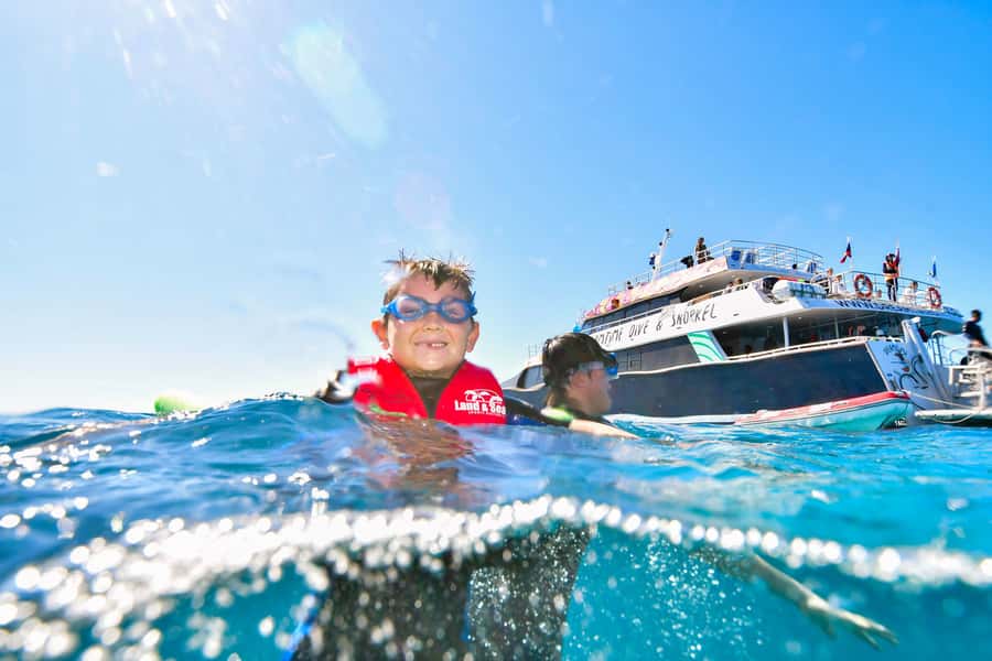 Cairns: Great Barrier Reef Premium Diving Full Day Tour - Should you book this Great Barrier Reef day?