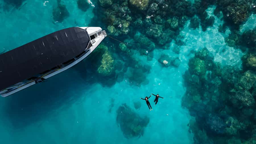 Cairns: Great Barrier Reef Small Group Snorkelling Tour - Key points at a glance