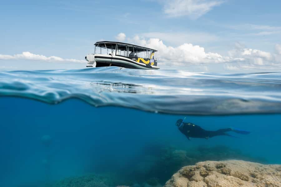 Cairns: Great Barrier Reef Small Group Snorkelling Tour - Why the small boat changes the day