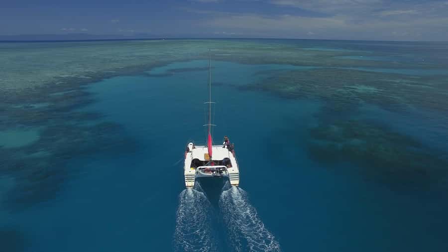 Cairns: Great Barrier Reef Snorkeling Tour with Lunch - Why Upolu Reef makes a good Cairns day trip