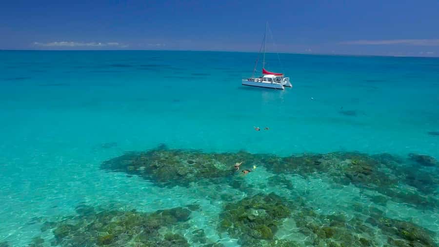 Cairns: Great Barrier Reef Snorkeling Tour with Lunch - The catamaran ride from Cairns to Upolu Reef