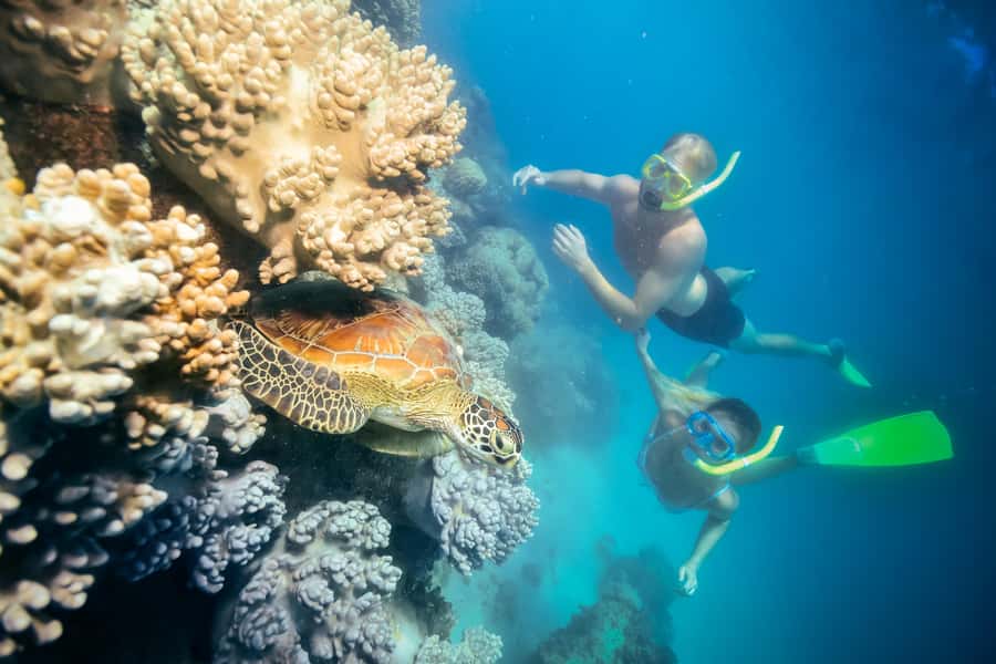 Cairns: Green Island, Snorkelling and Glass-Bottom Boat - Green Island offers reef scenery without a long ocean crossing