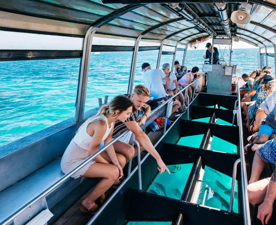 Cairns: Green Island, Snorkelling and Glass-Bottom Boat - The glass-bottom boat is the easiest reef introduction