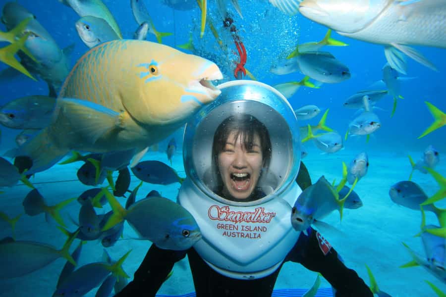Cairns: Green Island Snorkelling or Glass Bottom Boat - Booking details worth knowing