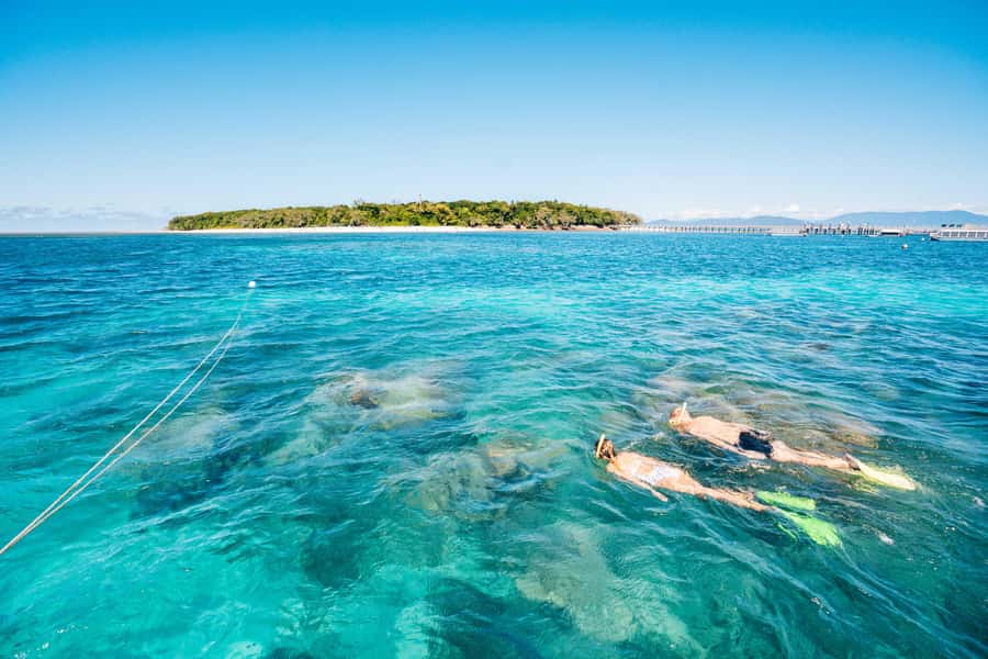 Cairns: Green Island Snorkelling or Glass Bottom Boat - Choosing between snorkelling and the glass bottom boat