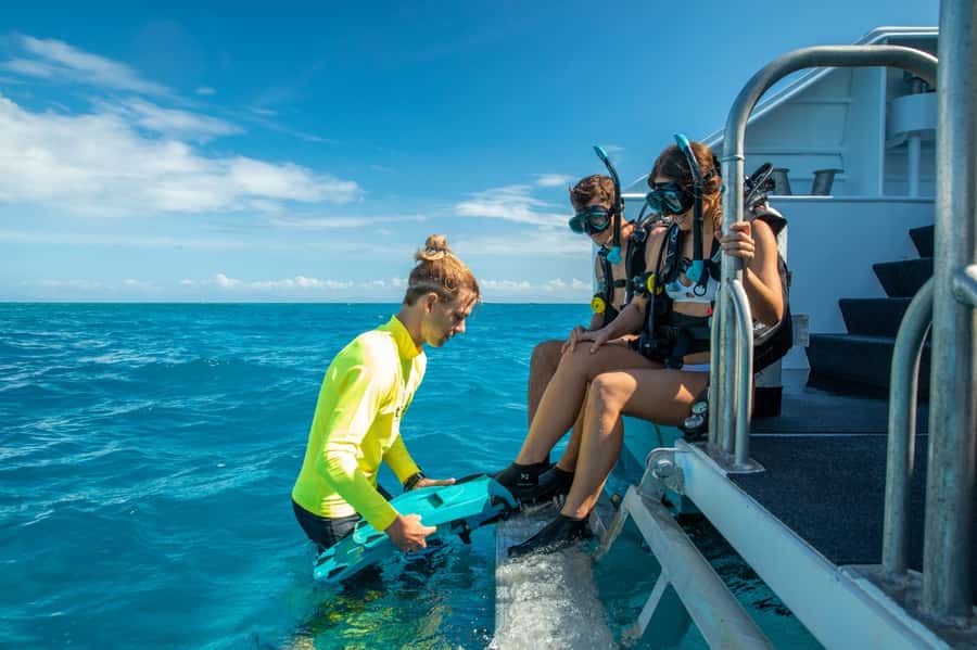 Cairns: Half-Day Outer Reef Snorkel Tour - Key points at a glance