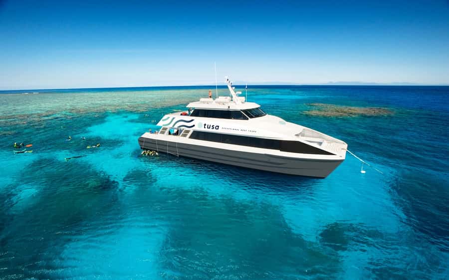 Cairns: Half-Day Outer Reef Snorkel Tour - Two hours where the action is