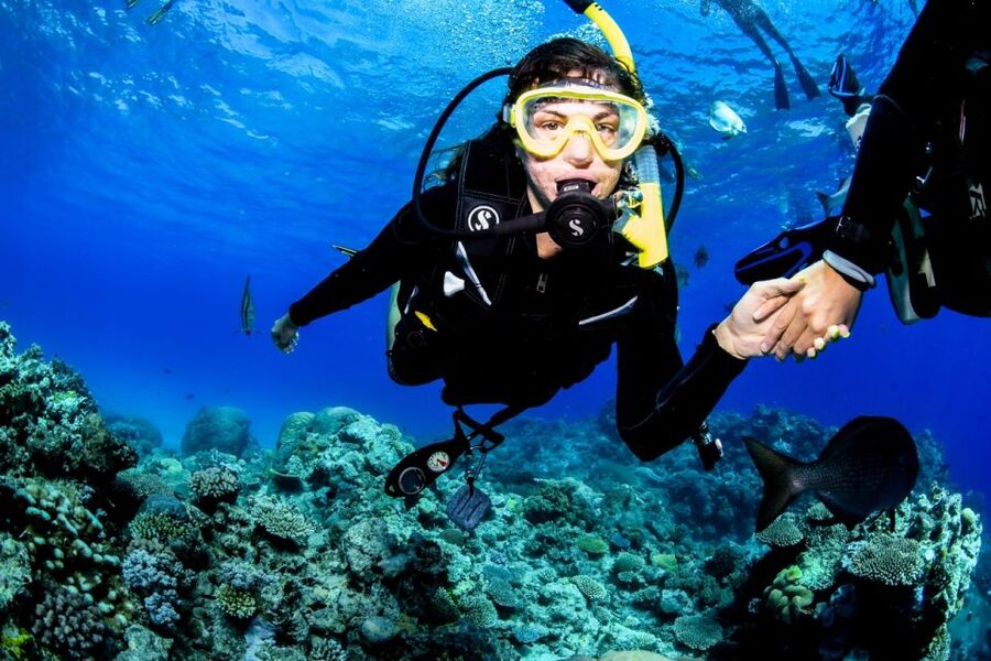 Cairns: Half-Day Outer Reef Snorkel Tour - Introductory scuba for prebooked participants