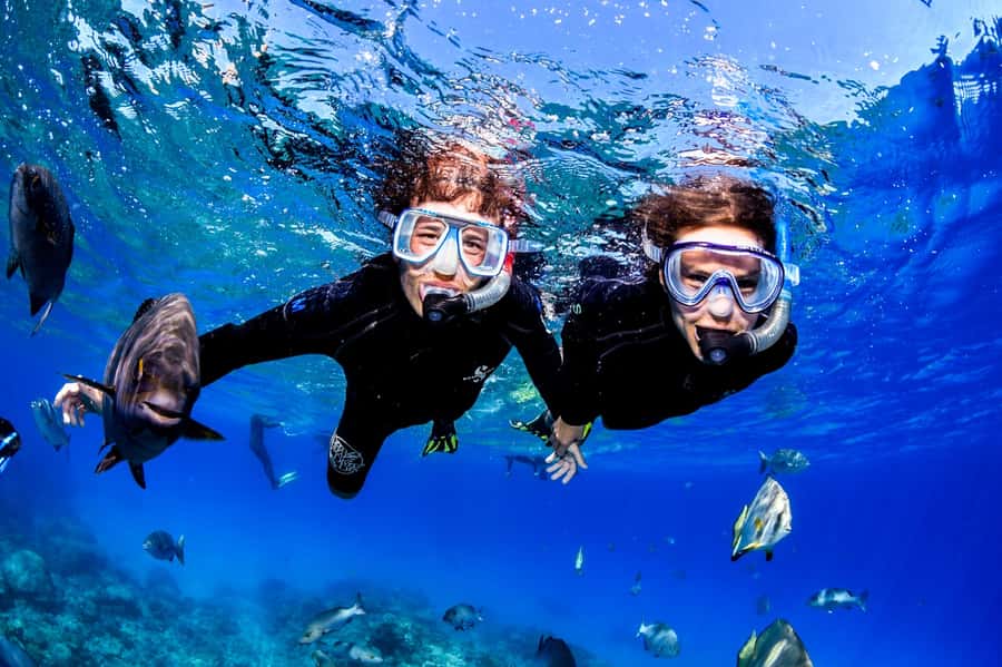 Cairns: Half-Day Outer Reef Snorkel Tour - The return ride to Cairns