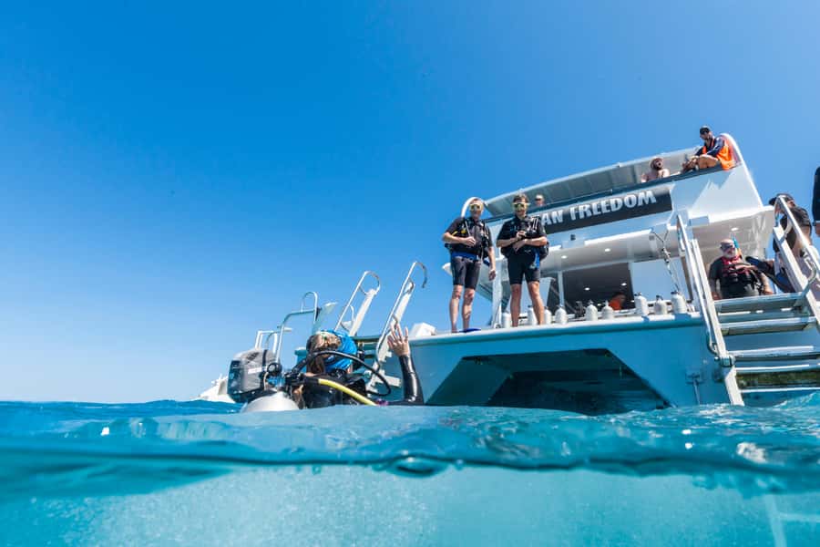 Cairns: Outer and Coral Cay Snorkel and Dive Cruise - Who should choose this reef day