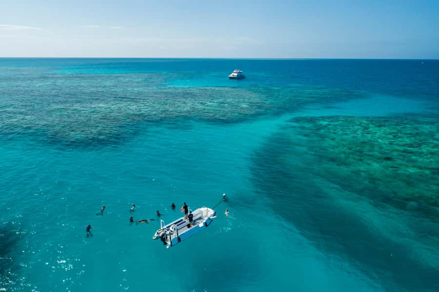 Cairns: Outer and Coral Cay Snorkel and Dive Cruise - Wonder Wall: an easy first look at reef life