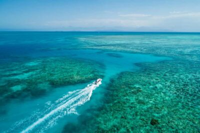 Outer and Coral Cay Snorkel and Dive Cruise