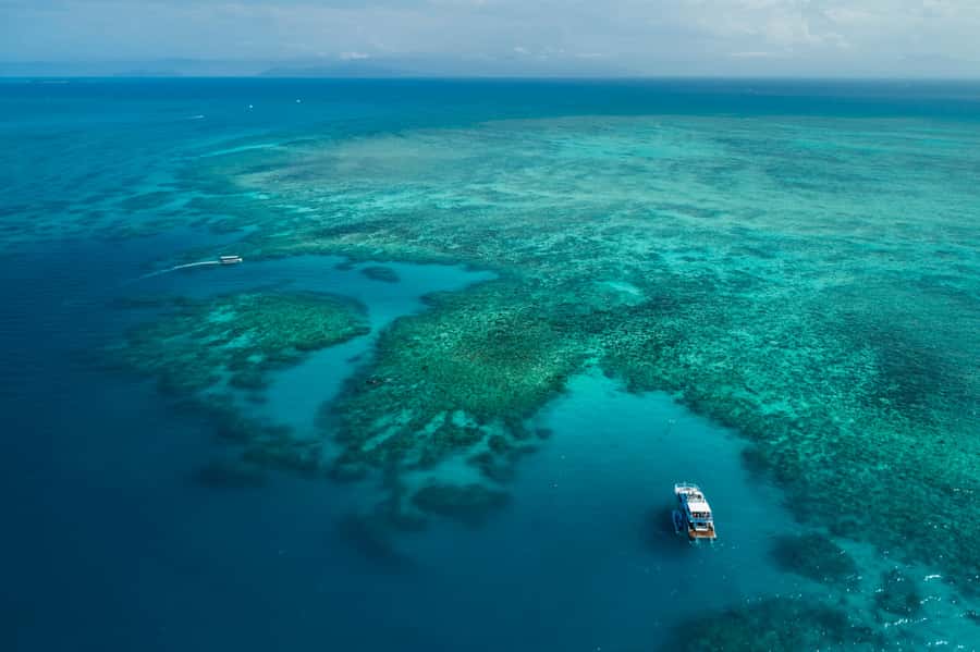 Cairns: Outer and Coral Cay Snorkel and Dive Cruise - Upolu Cay and the Aquarium