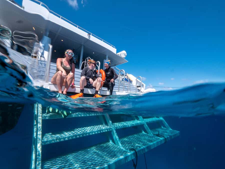 Cairns: Premium Snorkelling and Diving Reef Day Trip - Should you book AquaQuest?