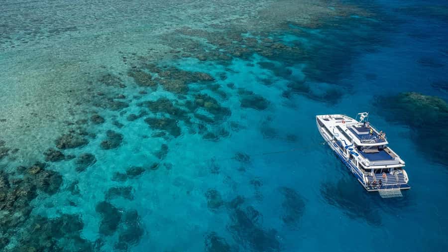 Cairns: Premium Snorkelling and Diving Reef Day Trip - Two outer reef sites make this a full day