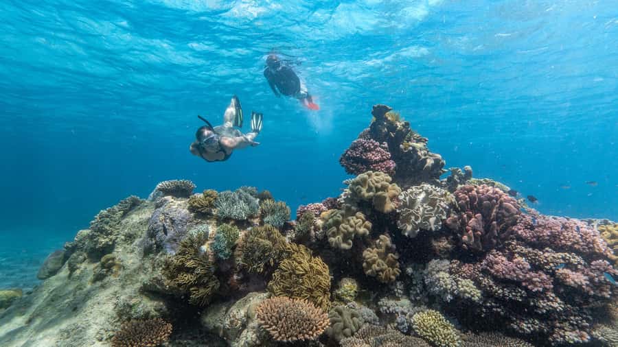 Cairns: Premium Snorkelling and Diving Reef Day Trip - AquaQuest is built for water access