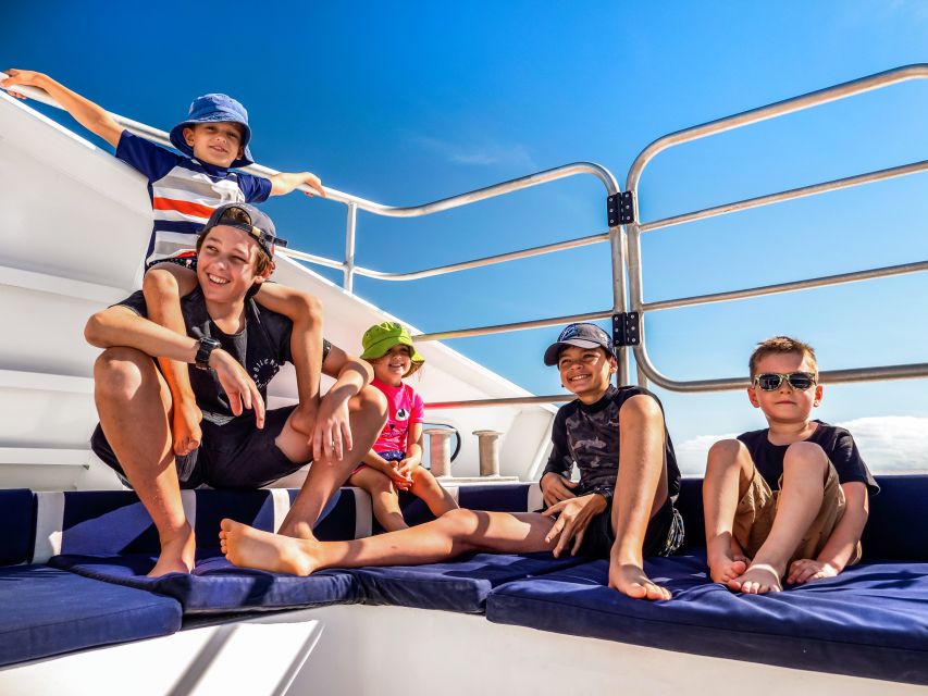 Cairns: Premium Snorkelling and Diving Reef Day Trip - Support for first-time scuba participants