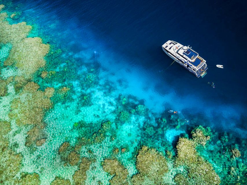 Cairns: Premium Snorkelling and Diving Reef Day Trip - How the schedule feels from Cairns