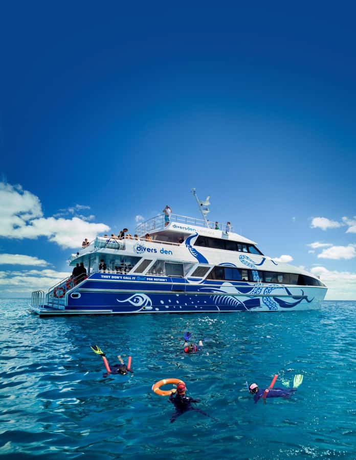 Cairns: Premium Snorkelling and Diving Reef Day Trip - What you might see beneath the surface