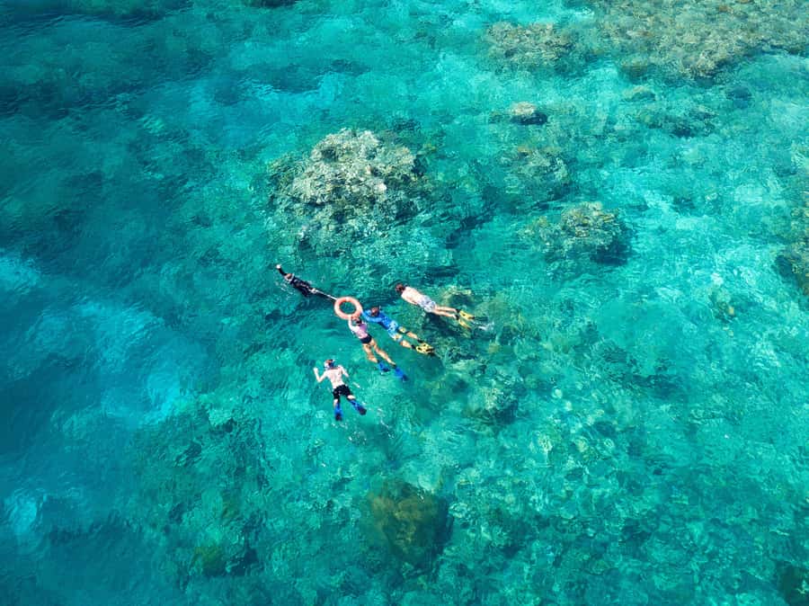 Cairns: Snorkelling and Diving Reef Day Trip - Two reef sessions on Norman, Saxon, or Hastings reefs