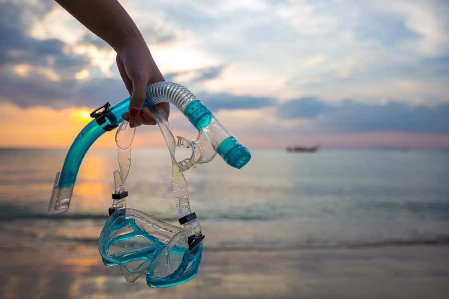 Cairo: Ain Sokhna Snorkeling cruise & optional transfer - Should you book this Ain Sokhna snorkeling trip?