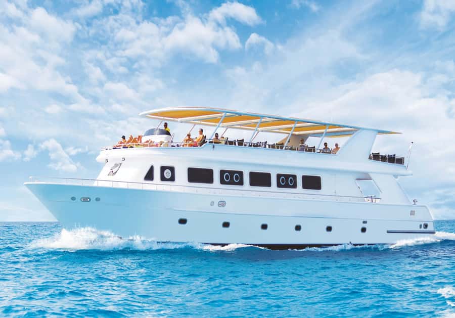 Cairo: Luxury Snorkeling Cruise & lunch with optional pickup - Key points to know before you book