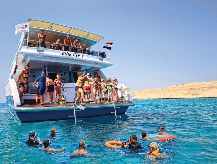 Cairo to Red Sea: VIP Yacht Cruise, Snorkeling & Lunch - What the service is really like