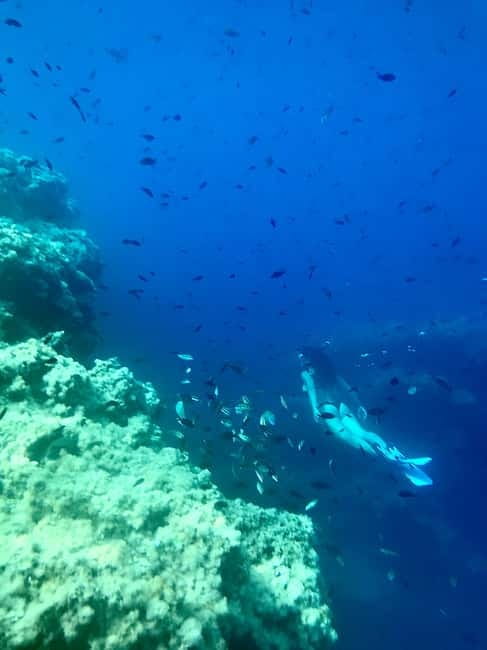 Cala Codolar: Sea & Caves Kayaking Tour with Snorkeling - Who will enjoy this outing most