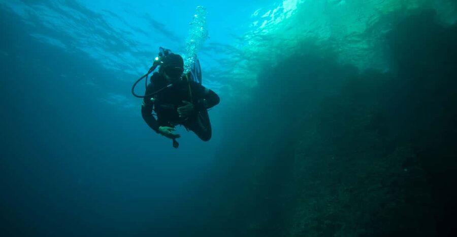 Calanques National Park Snorkel and Scuba Dive - A full day from Port de la Pointe Rouge