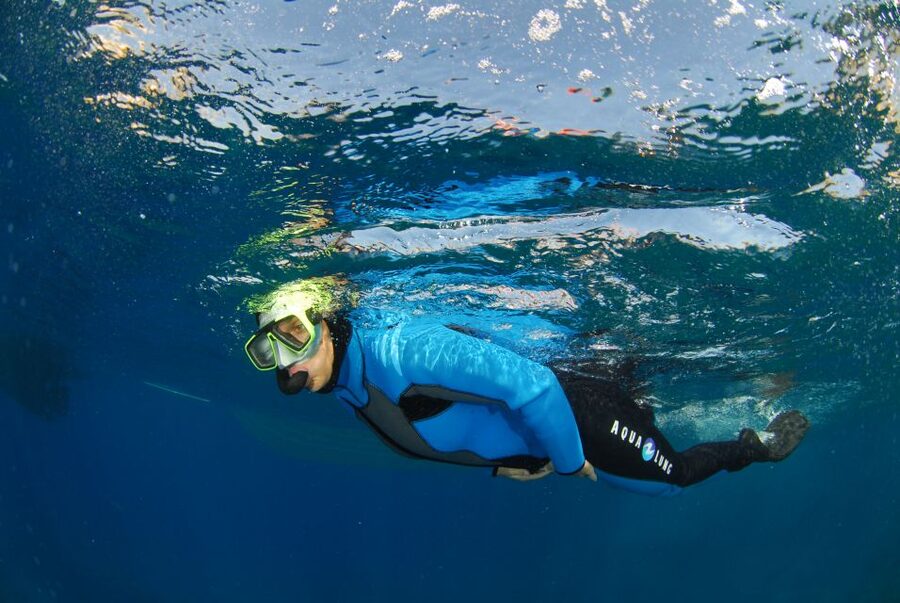 Calvi: Pointe de la Revellata Snorkeling Boat Tour - Who should book this trip?
