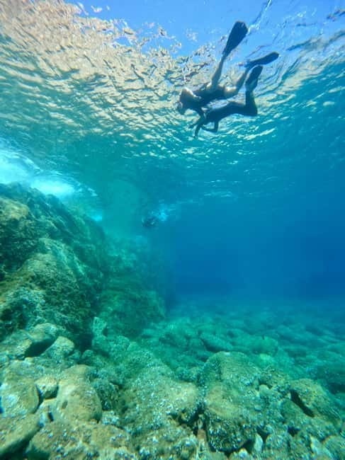 Calvi : Sortie snorkeling en bateau en bordure de réserve - Key points to know before booking