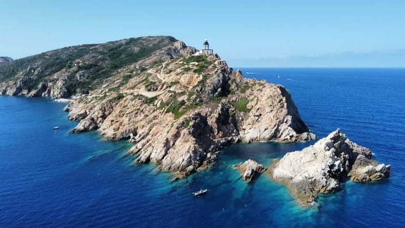 Calvi : Sortie snorkeling en bateau en bordure de réserve - One hour among Corsica’s underwater life