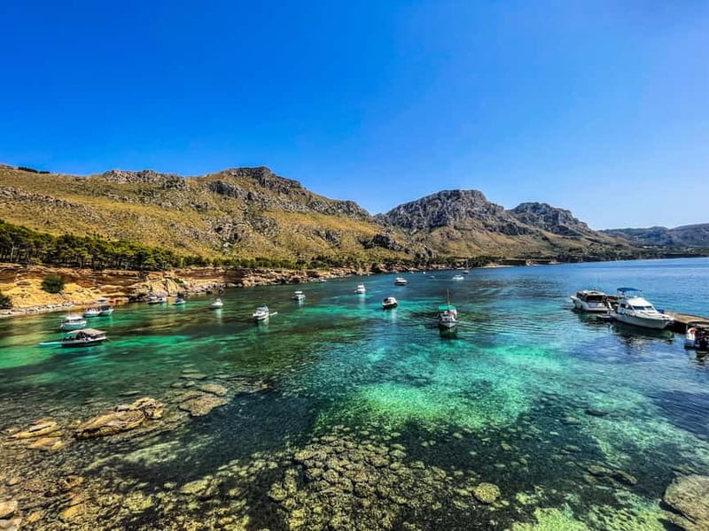 Can Picafort: 2-Hour Boat Tour with Snorkeling & Sea Caves - Price, group size, and real value