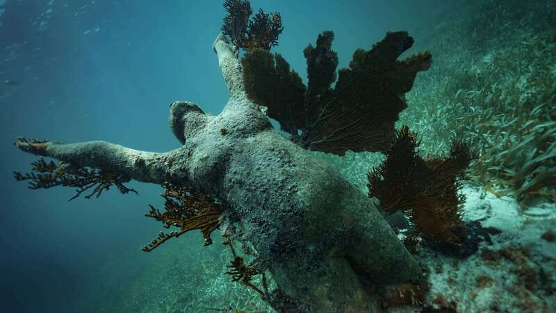 Cancun: Snorkeling Tour at MUSA The Underwater Museum - Practical details before you go