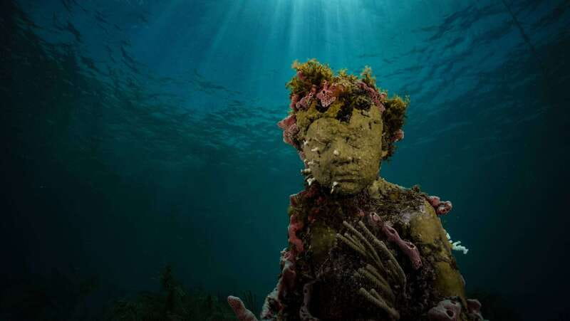 Cancun: Snorkeling Tour at MUSA The Underwater Museum - What you see at the underwater museum