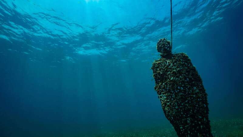 Cancun: Snorkeling Tour at MUSA The Underwater Museum - Guides, safety, and the pace of the trip
