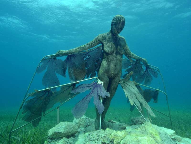 Cancun: Snorkeling Tour at MUSA The Underwater Museum - Is the $58 price good value?