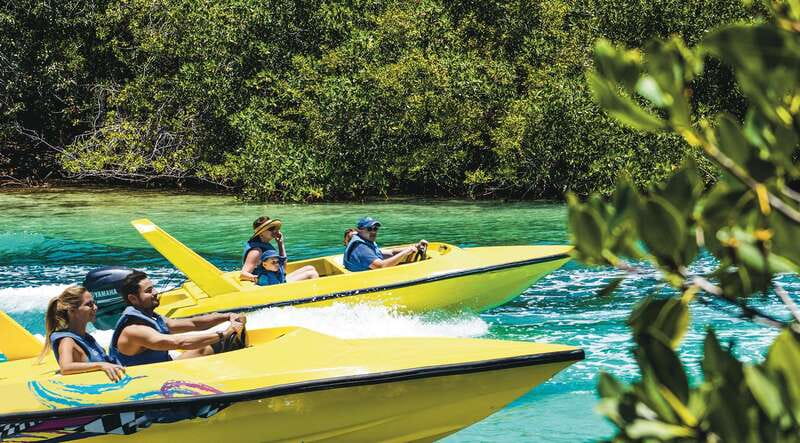 Cancun: Speedboat Mangrove Jungle & Snorkel Tour - Key points to know before you book