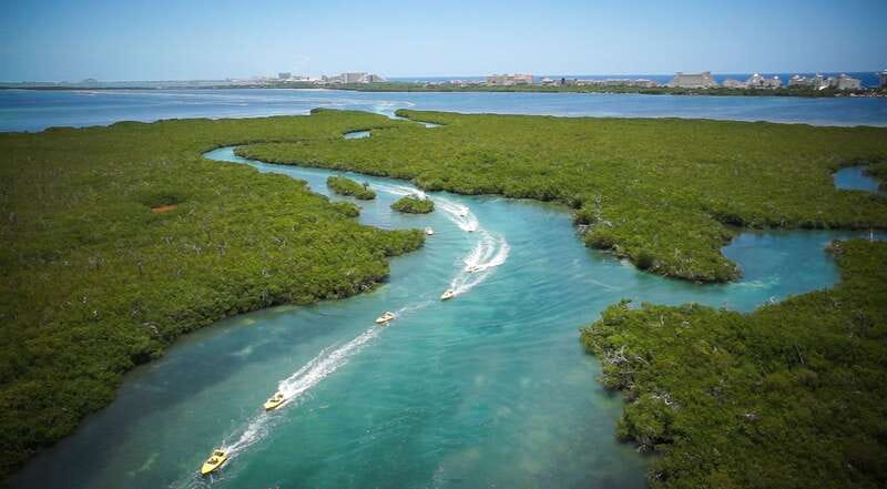 Cancun: Speedboat Mangrove Jungle & Snorkel Tour - The real price, including the extra fees