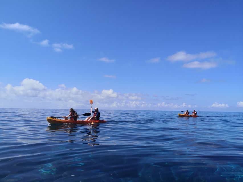 Caniço, Madeira: Marine Reserve Kayak & Snorkelling Tour - Guides, group size, and safety