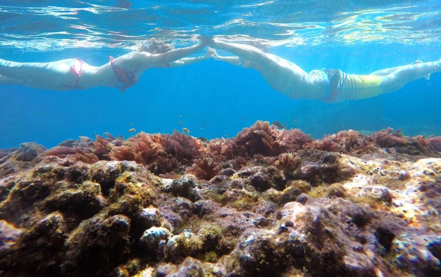 Caniço, Madeira: Marine Reserve Kayak & Snorkelling Tour - Snorkeling in the Garajau Marine Reserve