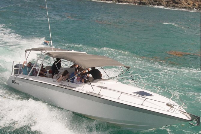 CAPTAIN ALAN'S 4hr -3 Islands-snorkeling-turtles-beach ADVENTURE - Tintamarre: the best chance for turtles