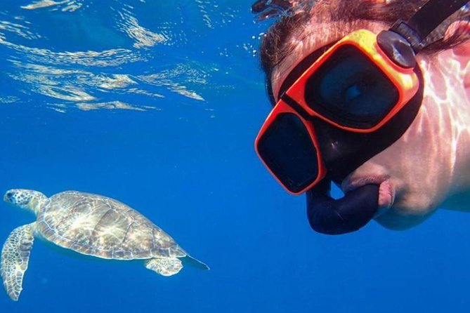CAPTAIN ALAN'S 4hr -3 Islands-snorkeling-turtles-beach ADVENTURE - Creole Rock or Greenkey: fish, reef, and changing conditions