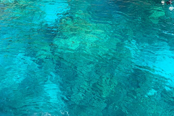 Captain Cook Reef Snorkeling of Kealakekua Bay - Dolphins, whales, caves, and coastal stories