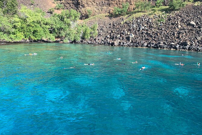 Captain Cook Reef Snorkeling of Kealakekua Bay - Practical details that affect your day
