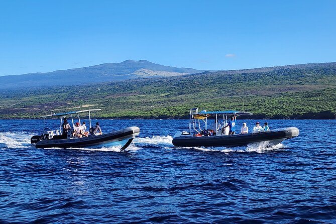 Captain Cook Snorkel Tour with Sea Caves and Lava Tubes - What the $89 Captain Cook tour really offers